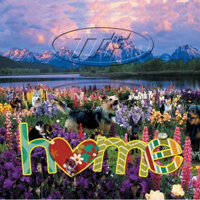 The Time Frequency - Home - Maxi CD Single